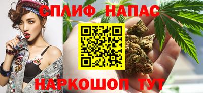 индика Северобайкальск