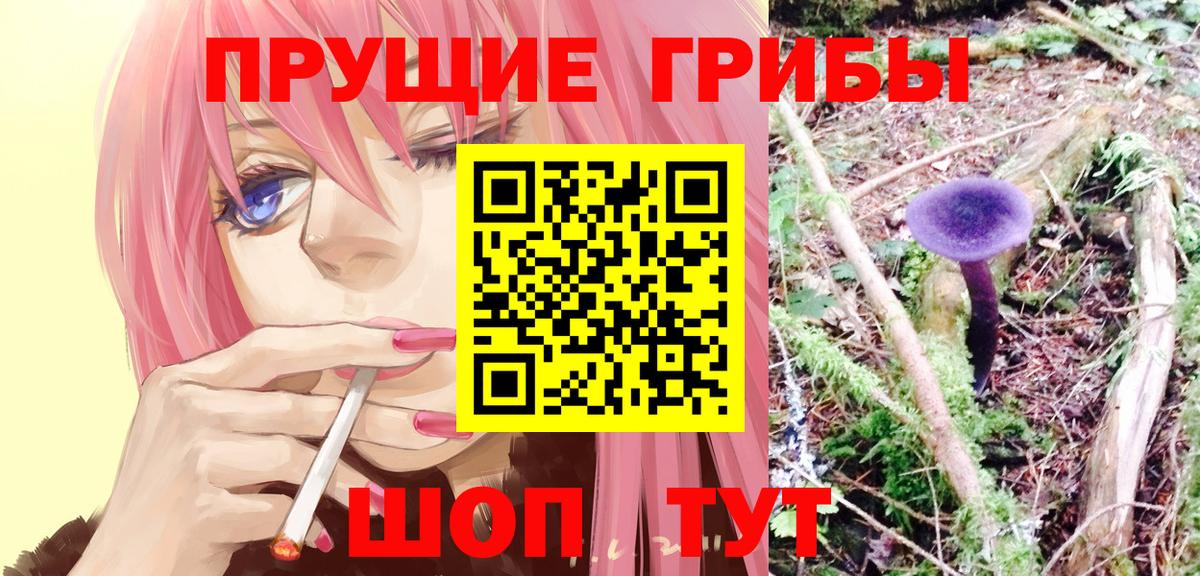 Петрозаводск  Галлюциногенные грибы GOLDEN TEACHER  Вход с VPN  Галлюциногенные грибы Cubensis 