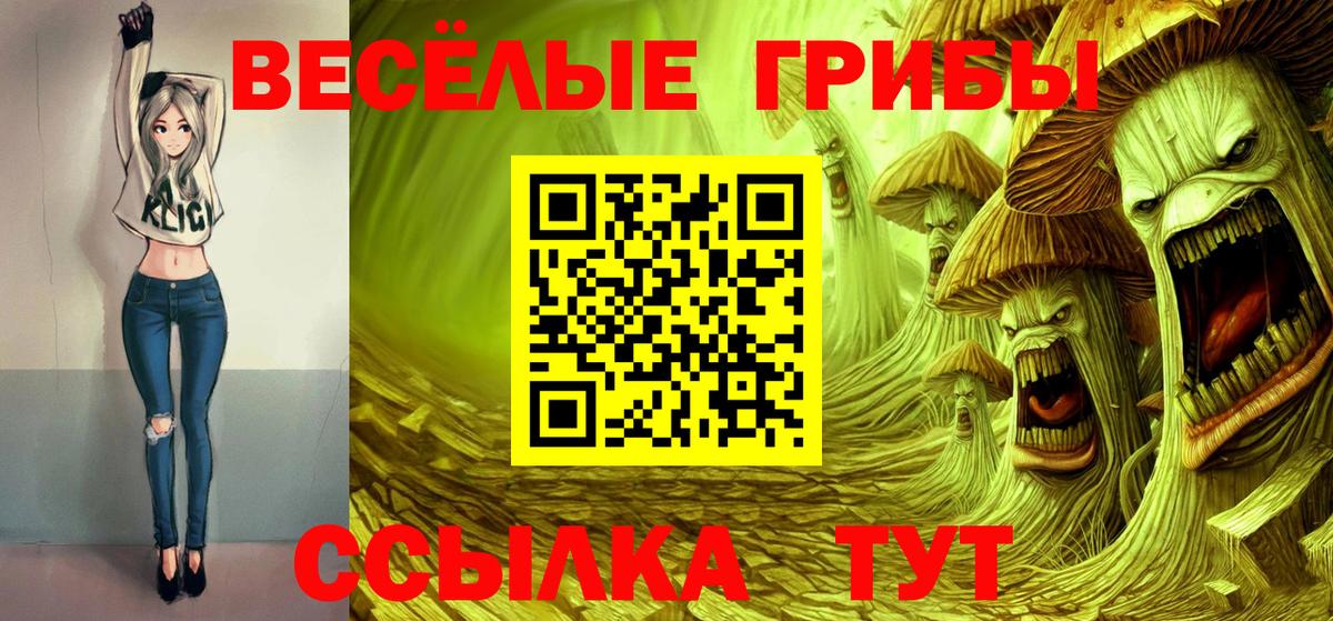Псилоцибиновые грибы Psilocybine cubensis Петрозаводск
